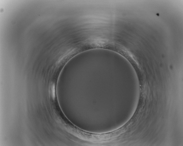 X0000065260027200602211301