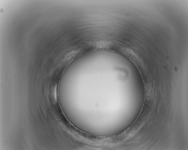 X0000065260028200602211301