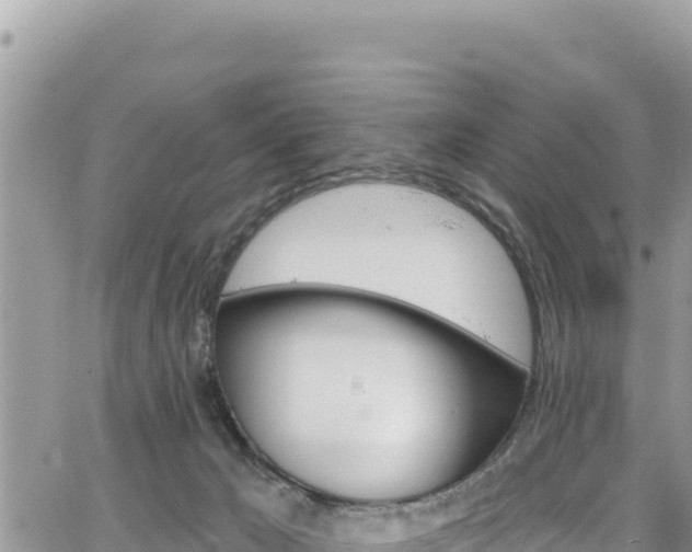 X0000065260029200602211301