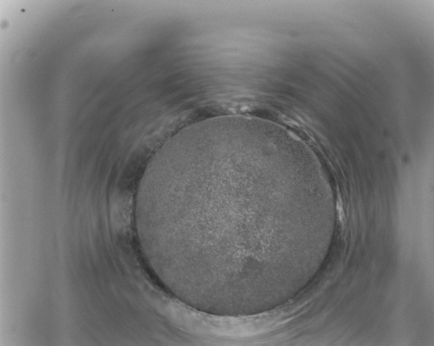 X0000065260030200602211301