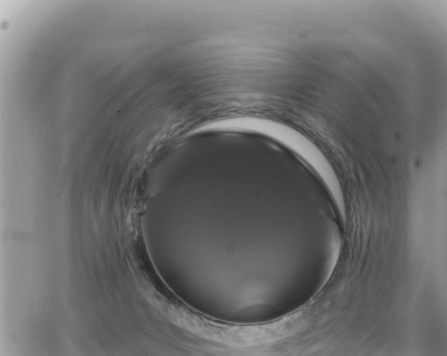 X0000065260031200602211301