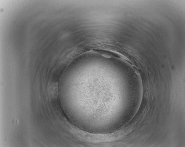 X0000065260034200602211301