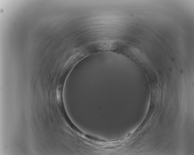 X0000065260035200602211301