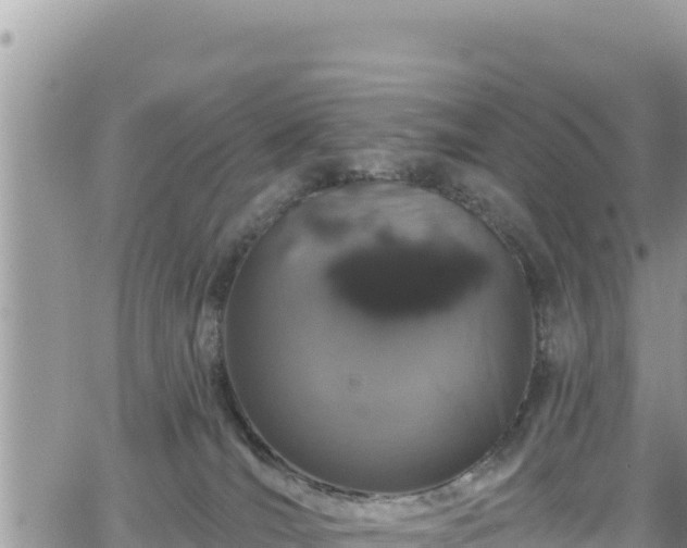 X0000065260036200602211301