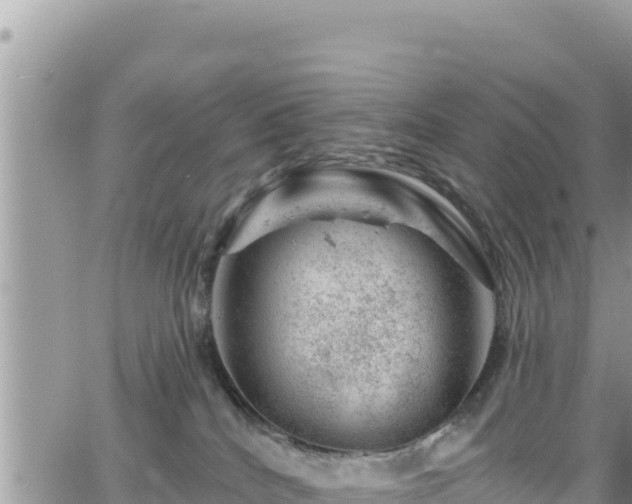 X0000065260040200602211301