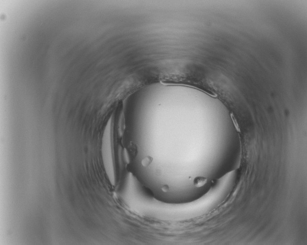 X0000065260041200602211301