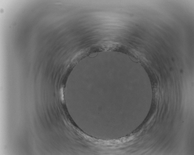 X0000065260042200602211301