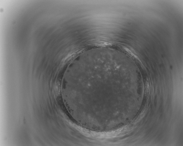 X0000065260043200602211301