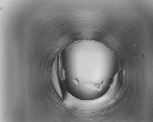 X0000065260045200602211301