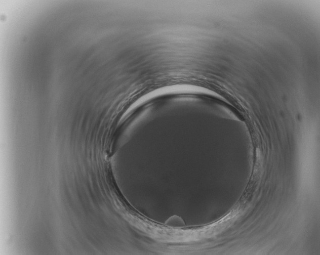 X0000065260048200602211301