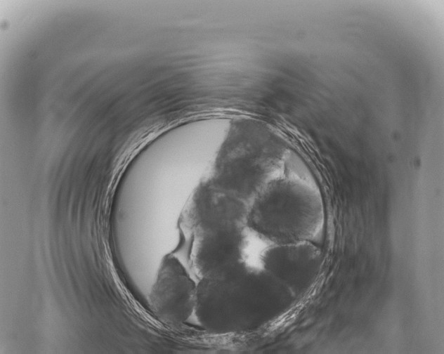 X0000065260049200602211300