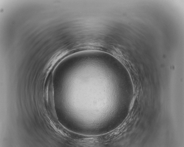 X0000065260050200602211300