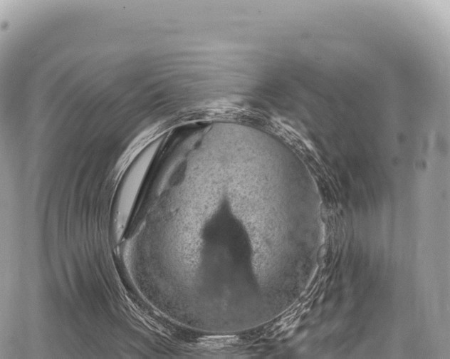 X0000065260051200602211300