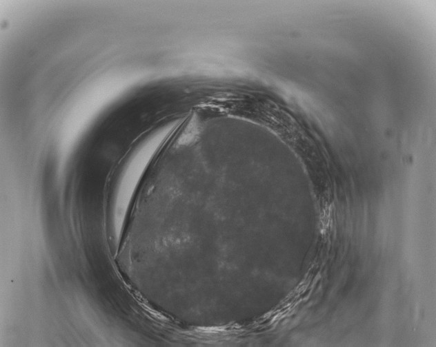 X0000065260052200602211300