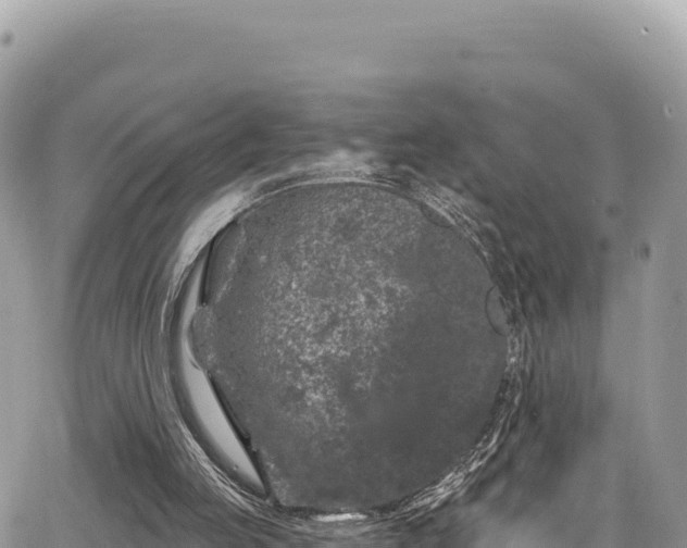 X0000065260053200602211300