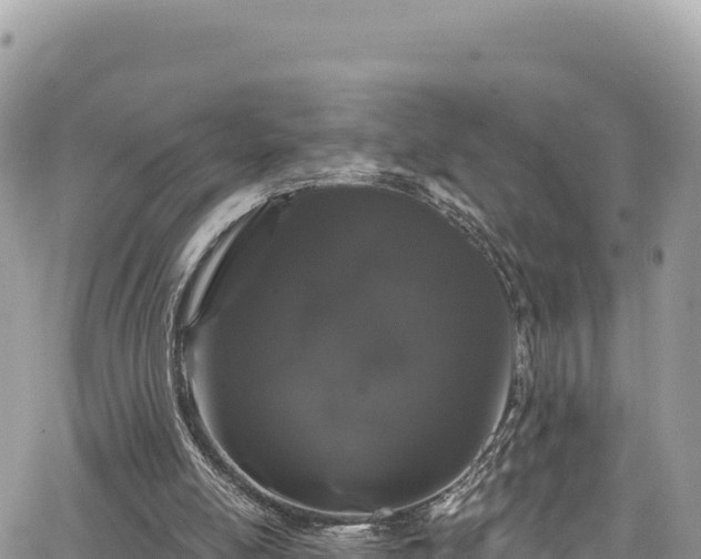 X0000065260054200602211300