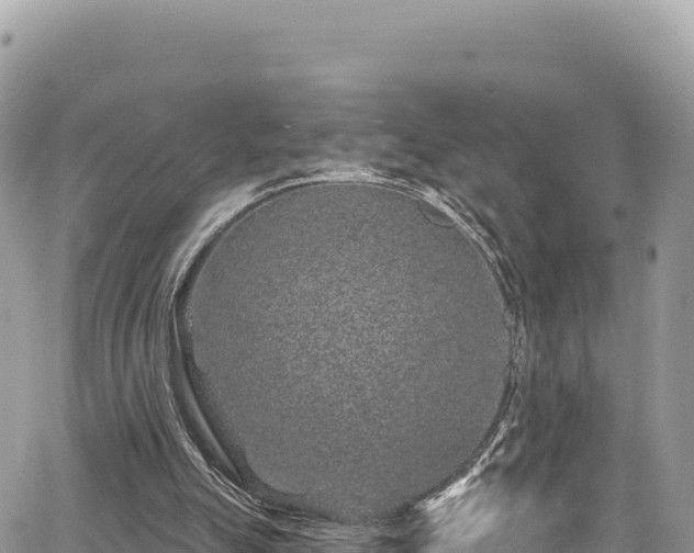 X0000065260055200602211300