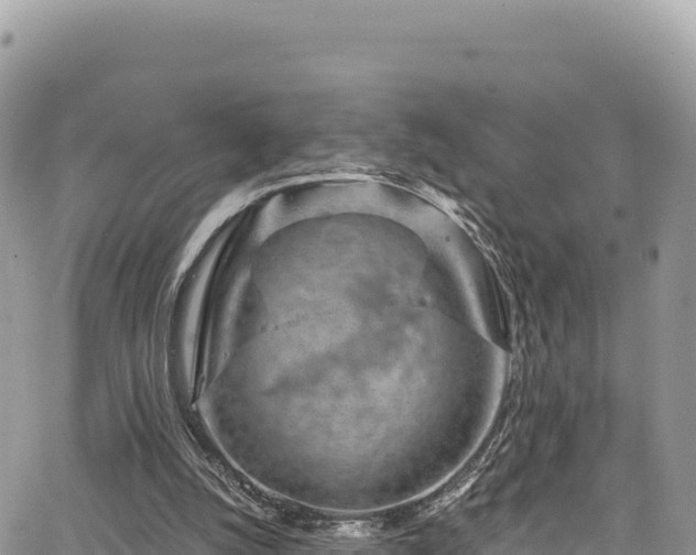 X0000065260056200602211300