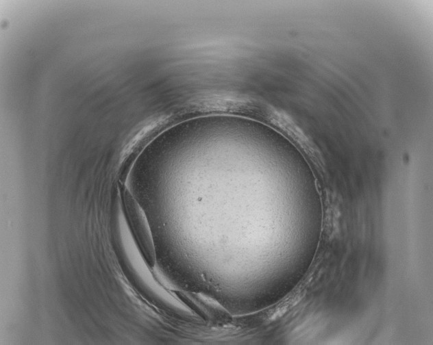 X0000065260058200602211300