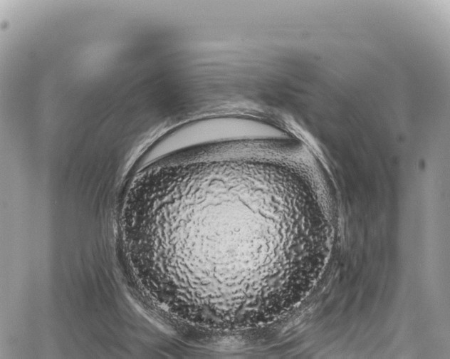 X0000065260059200602211300