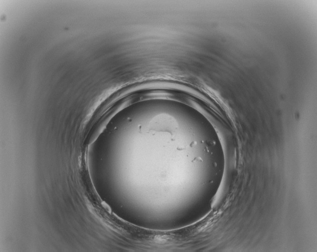 X0000065260060200602211300