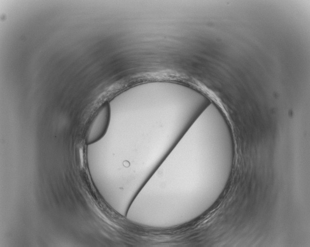 X0000065260061200602211300