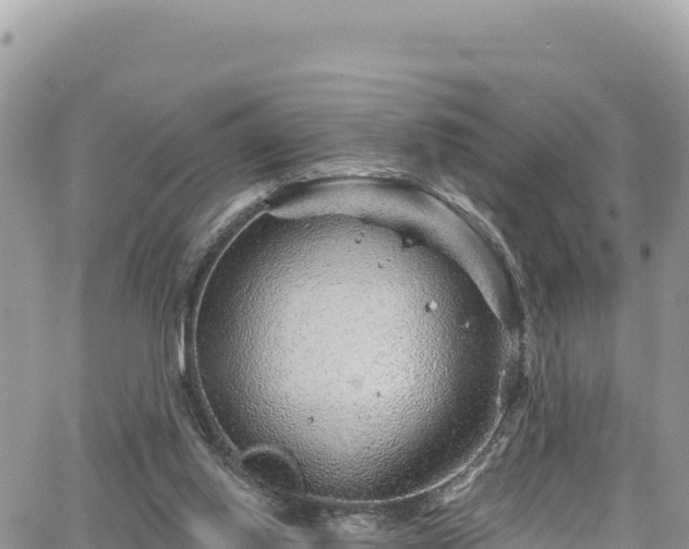 X0000065260062200602211300