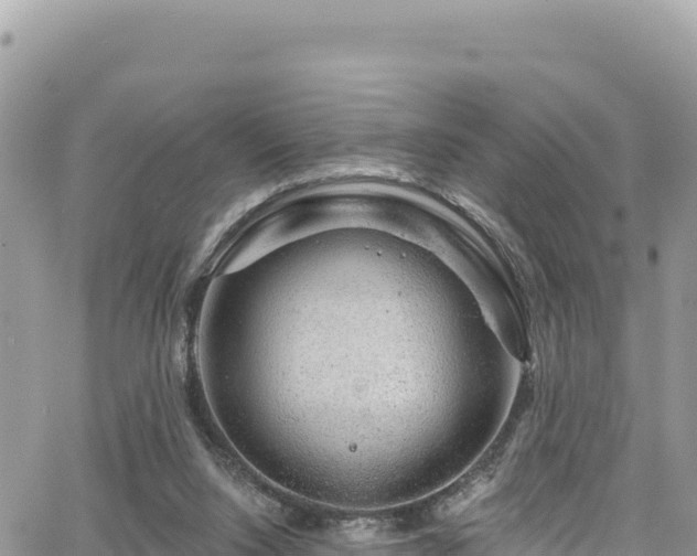 X0000065260064200602211300