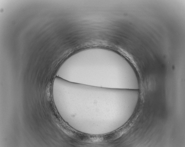 X0000065260065200602211300