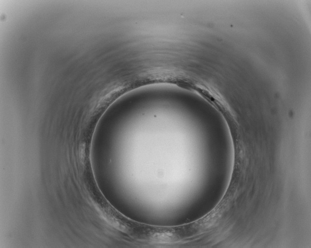 X0000065260066200602211300