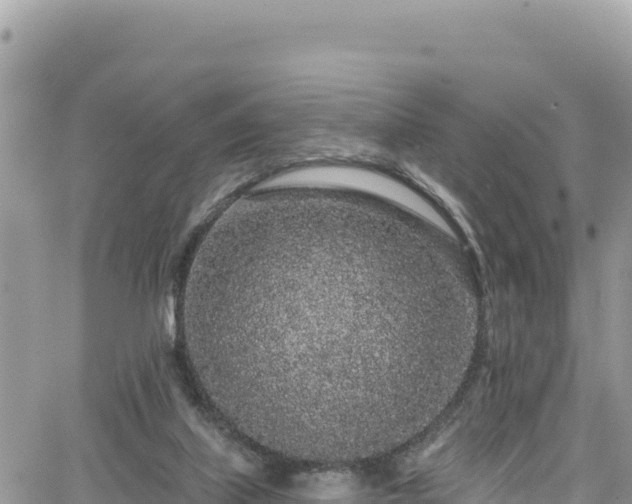 X0000065260067200602211300