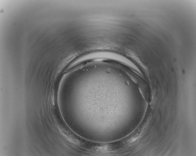 X0000065260068200602211300