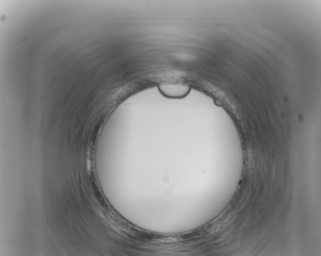 X0000065260069200602211300