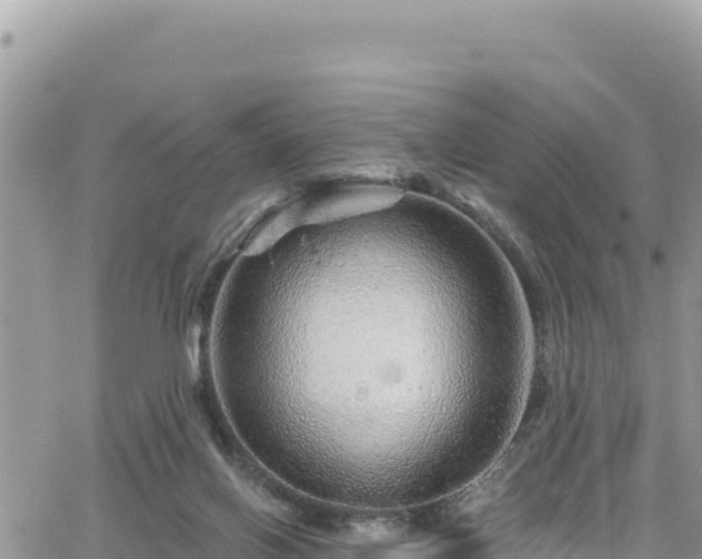 X0000065260070200602211300