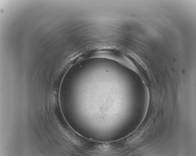 X0000065260071200602211300