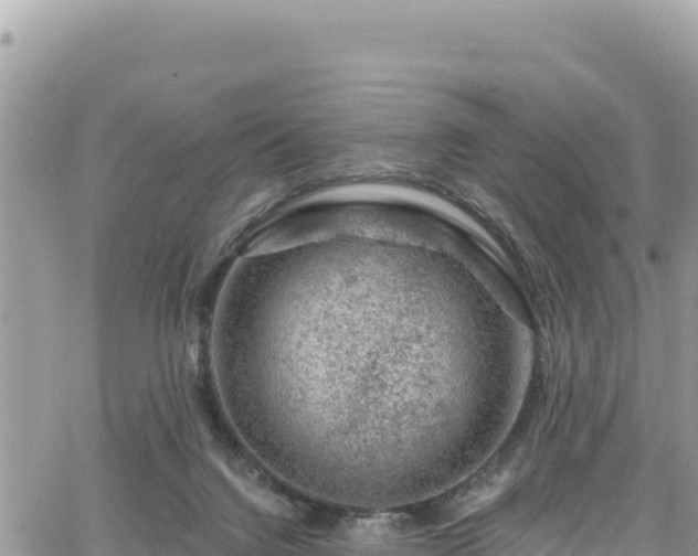 X0000065260072200602211300