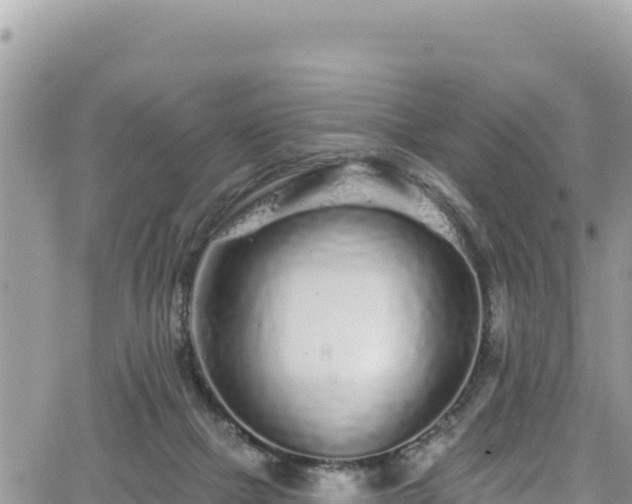 X0000065260073200602211300