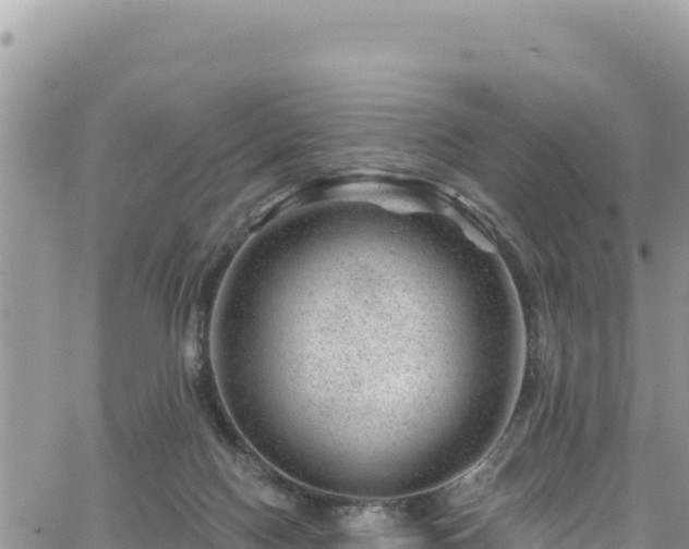 X0000065260074200602211300