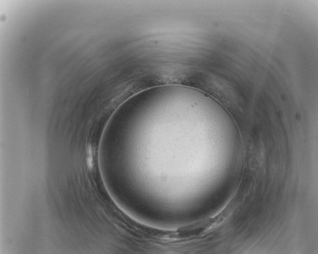 X0000065260075200602211300