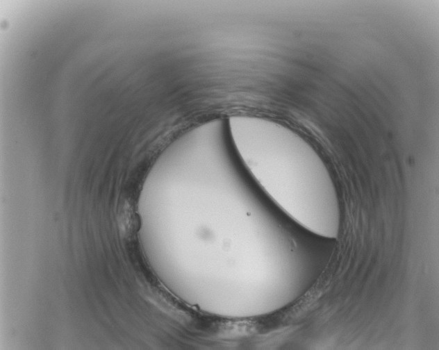 X0000065260077200602211300