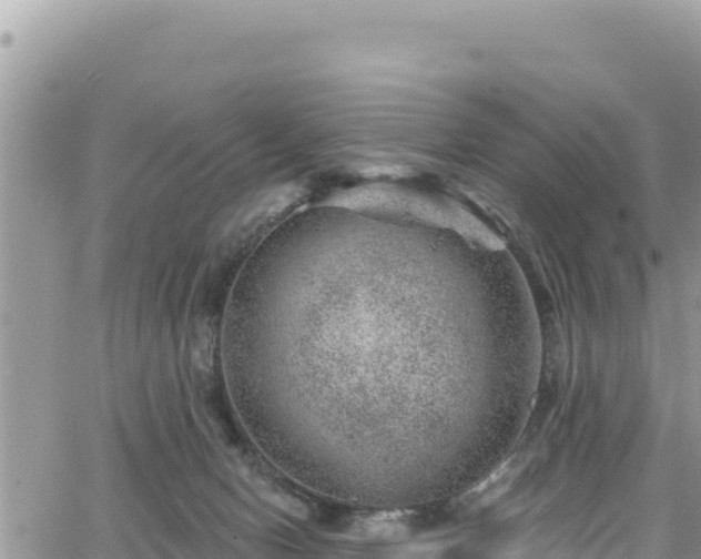 X0000065260078200602211300