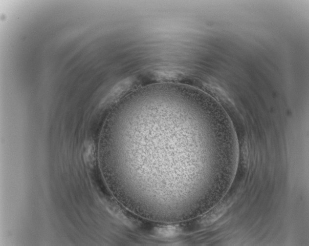 X0000065260079200602211300