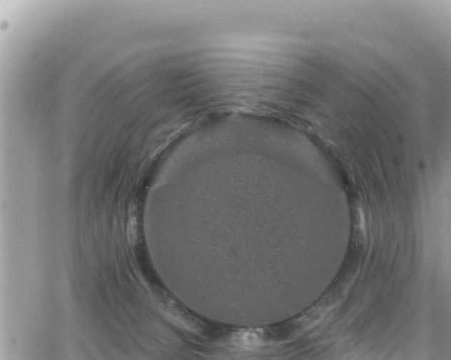 X0000065260080200602211300