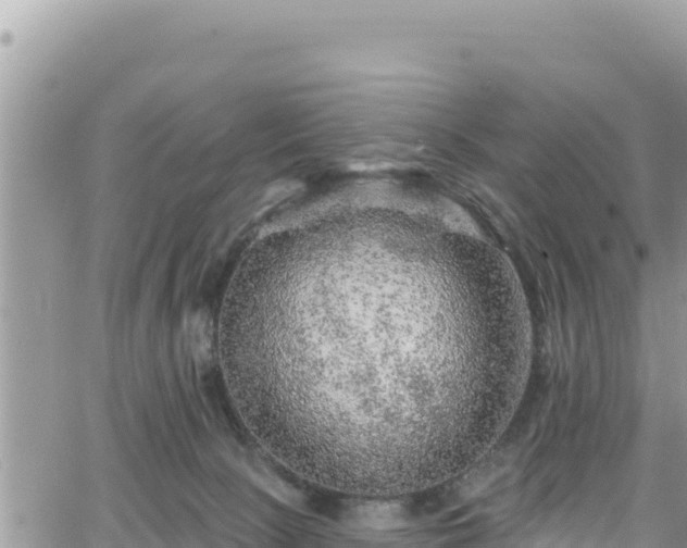 X0000065260081200602211300