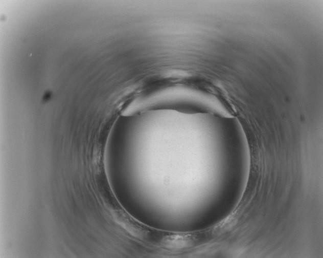 X0000065260082200602211300