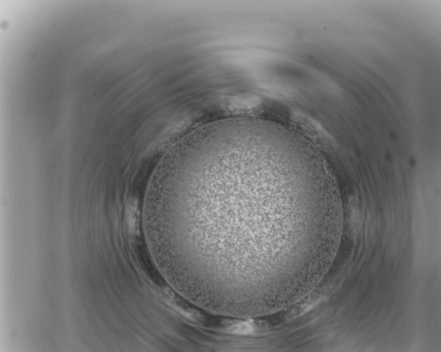 X0000065260083200602211300