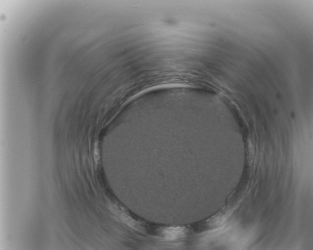 X0000065260085200602211300