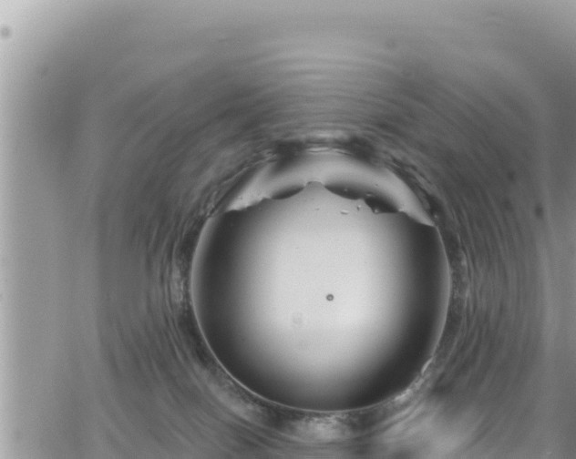 X0000065260086200602211300