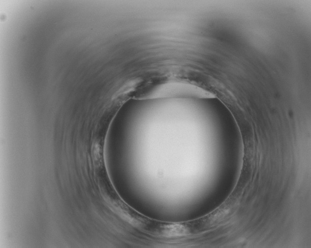 X0000065260087200602211301