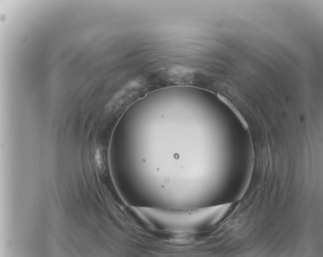 X0000065260088200602211301